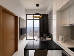 Spottiswoode Suites (D2), Apartment #574633841